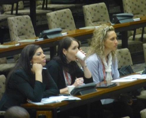 2013_congress_12